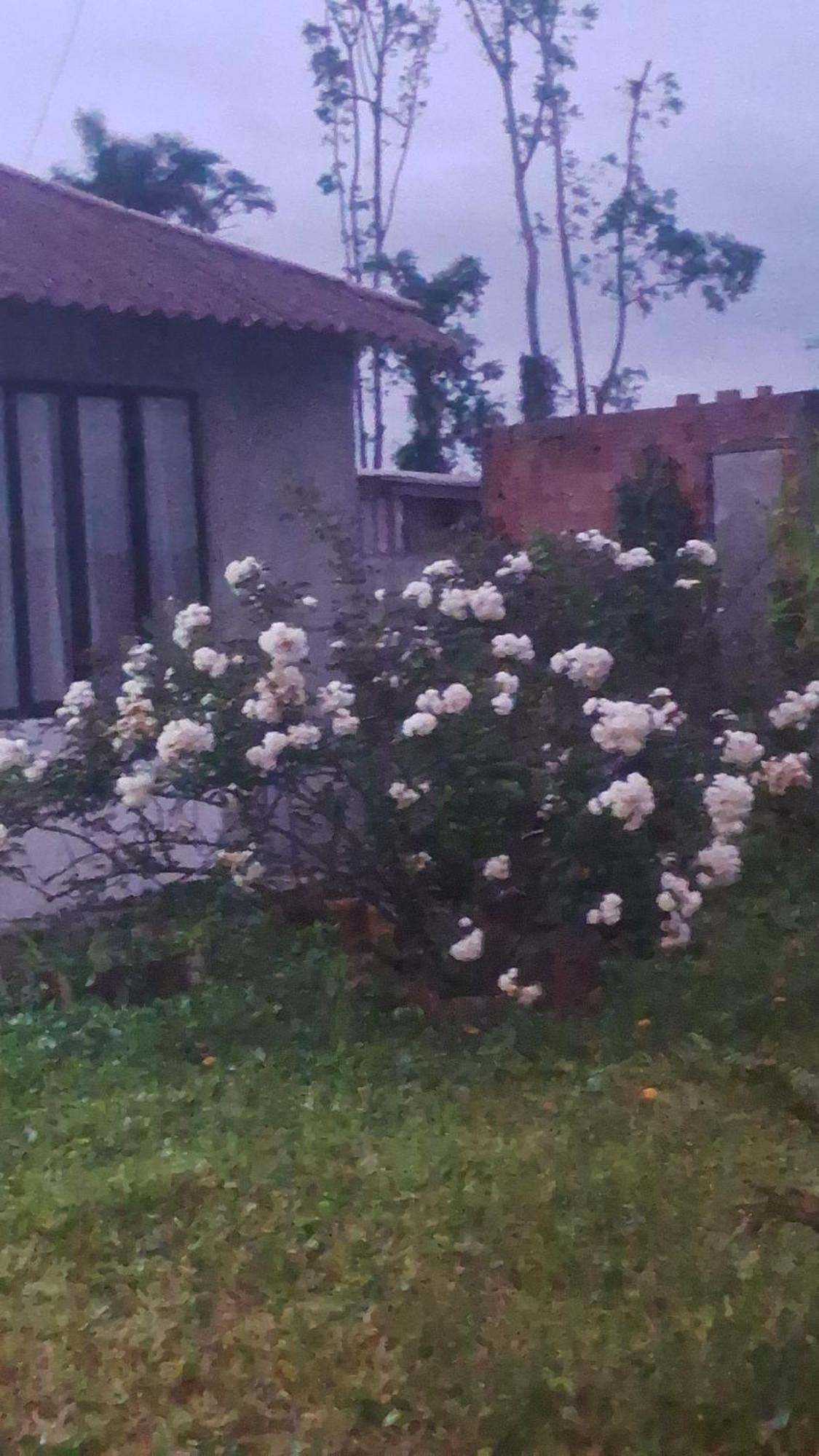 Holiday home Casa Da A'lice *